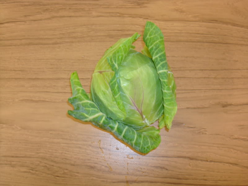 Cabbage