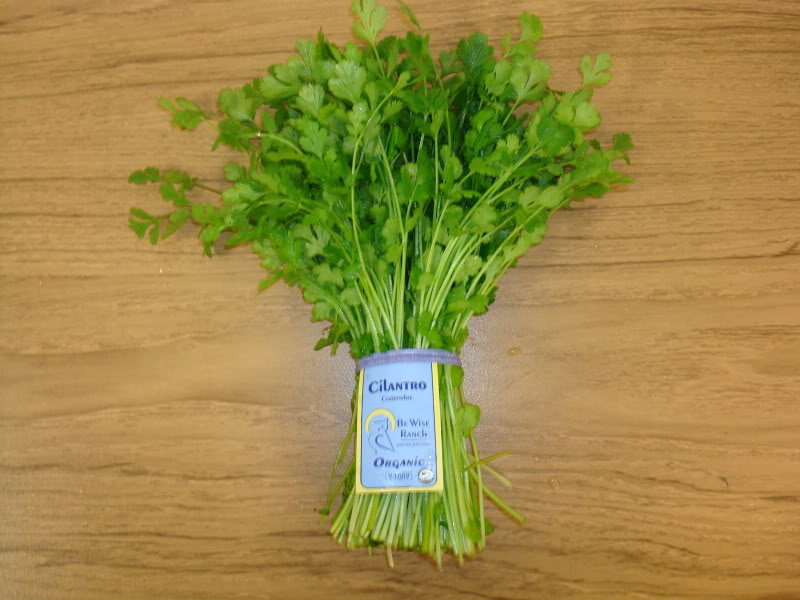 Cilantro