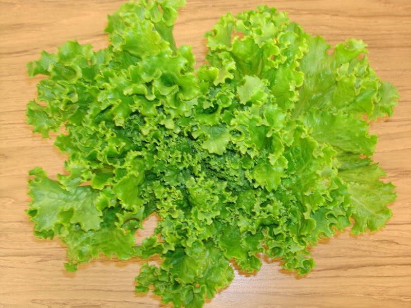 Green Leaf Lettuce