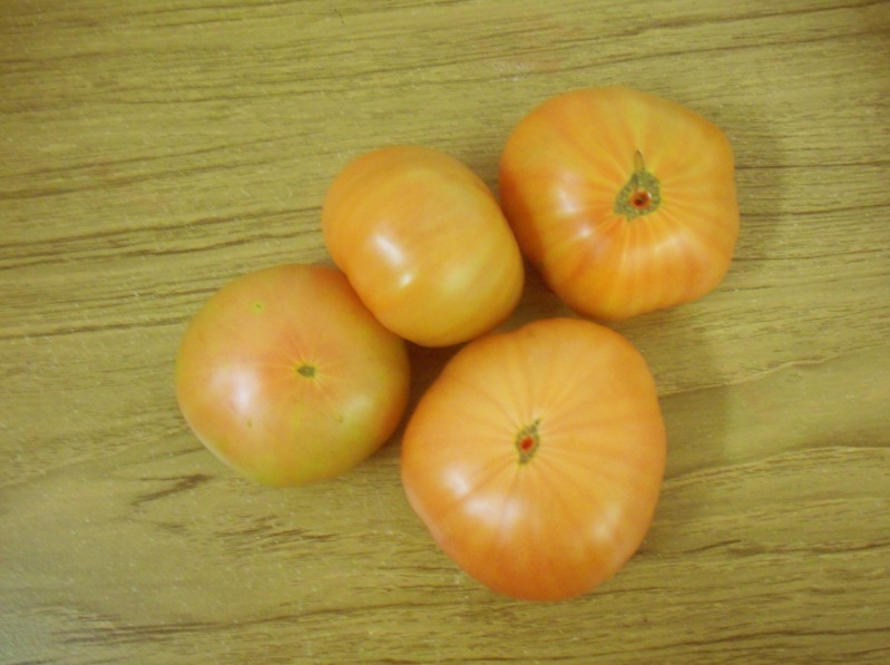 brandywinetomatoes