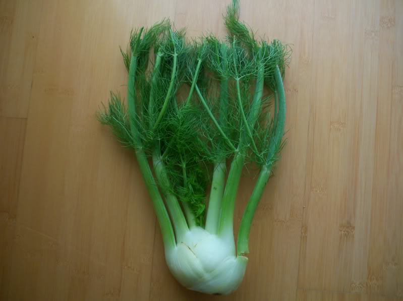 Fennel