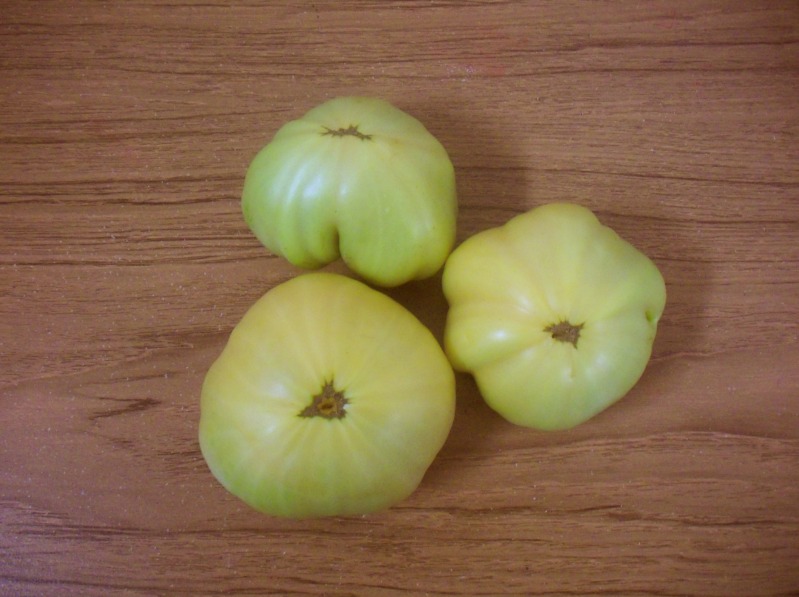 persimmontomatoes