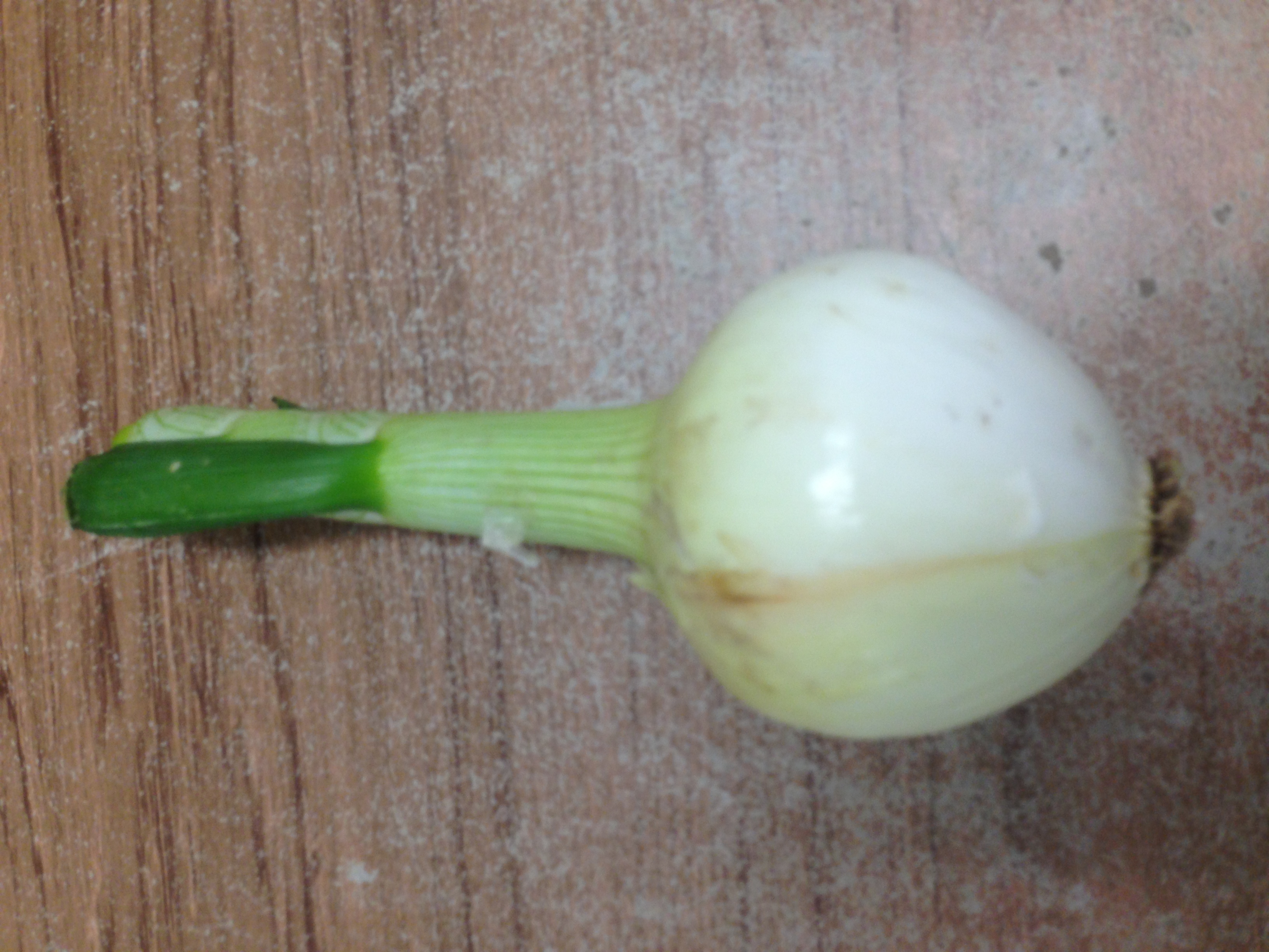 Walla Walla Onion